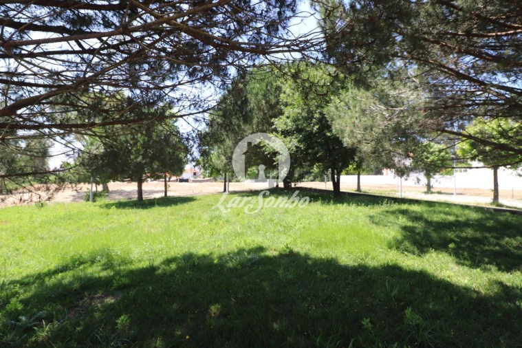 Terreno para Venda em Anta e Guetim Foto 10