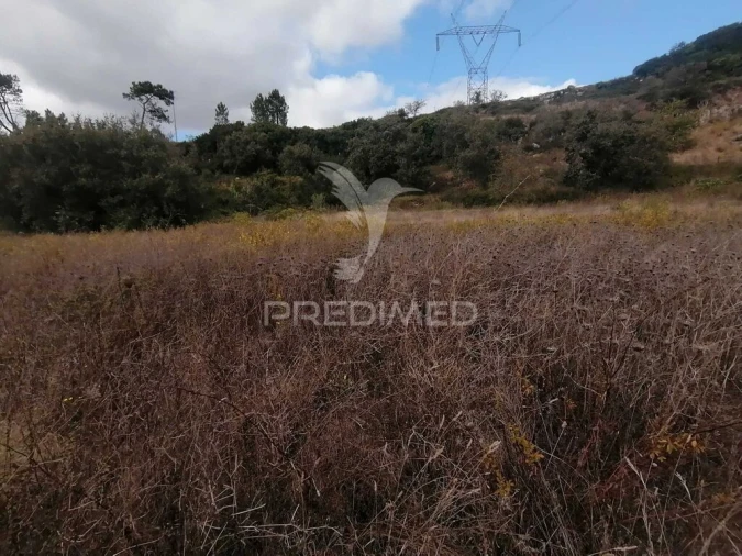 Terreno para Venda em Santo Quintino Foto 7