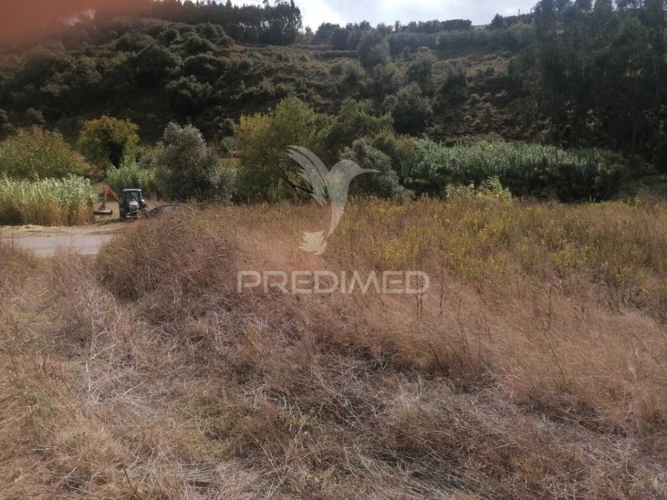 Terreno para Venda em Santo Quintino Foto 5