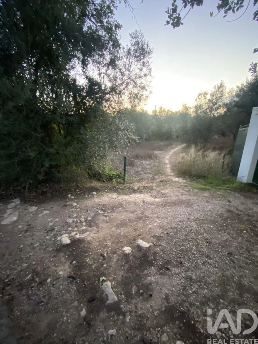 Terreno para Venda em Santa Barbara de Nexe Foto 4