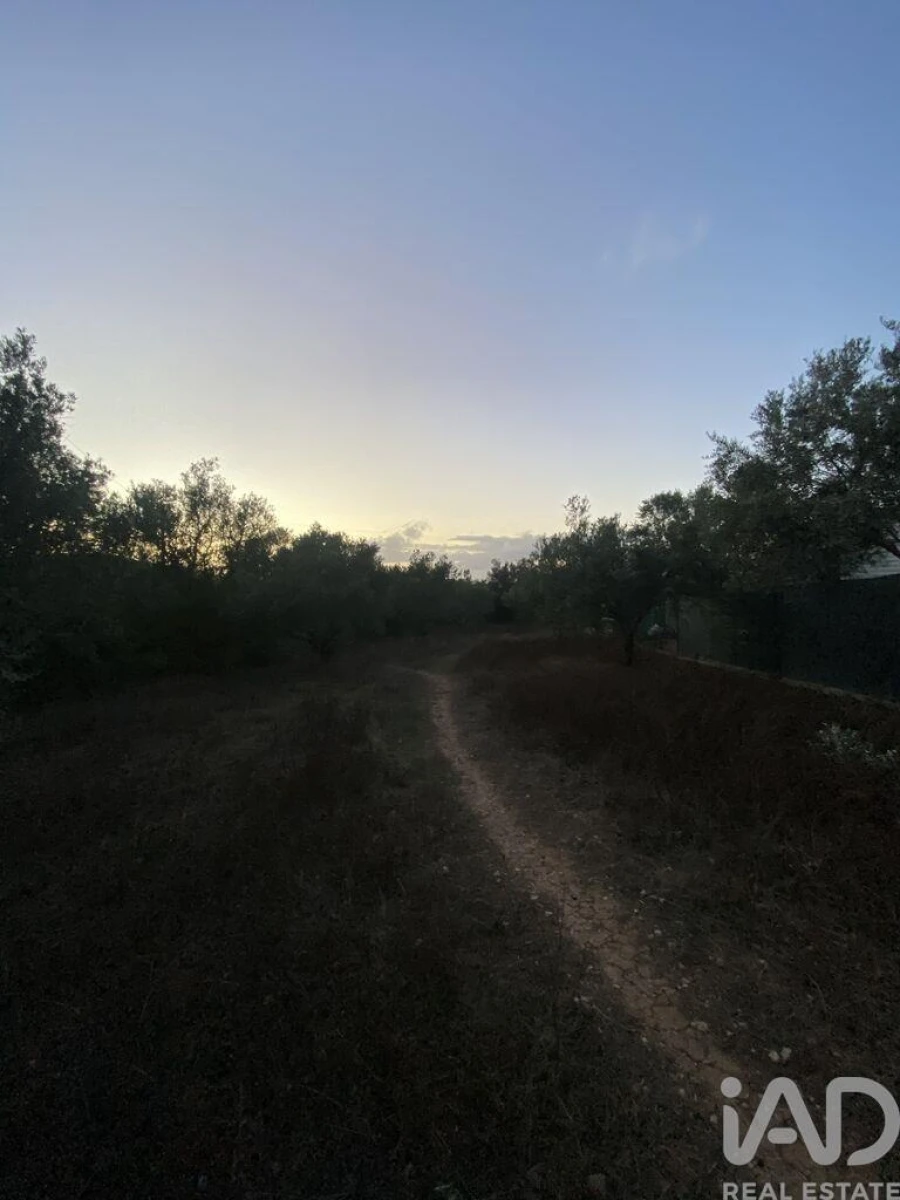 Terreno para Venda em Santa Barbara de Nexe Foto 3