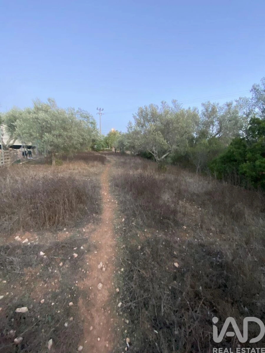Terreno para Venda em Santa Barbara de Nexe Foto 6
