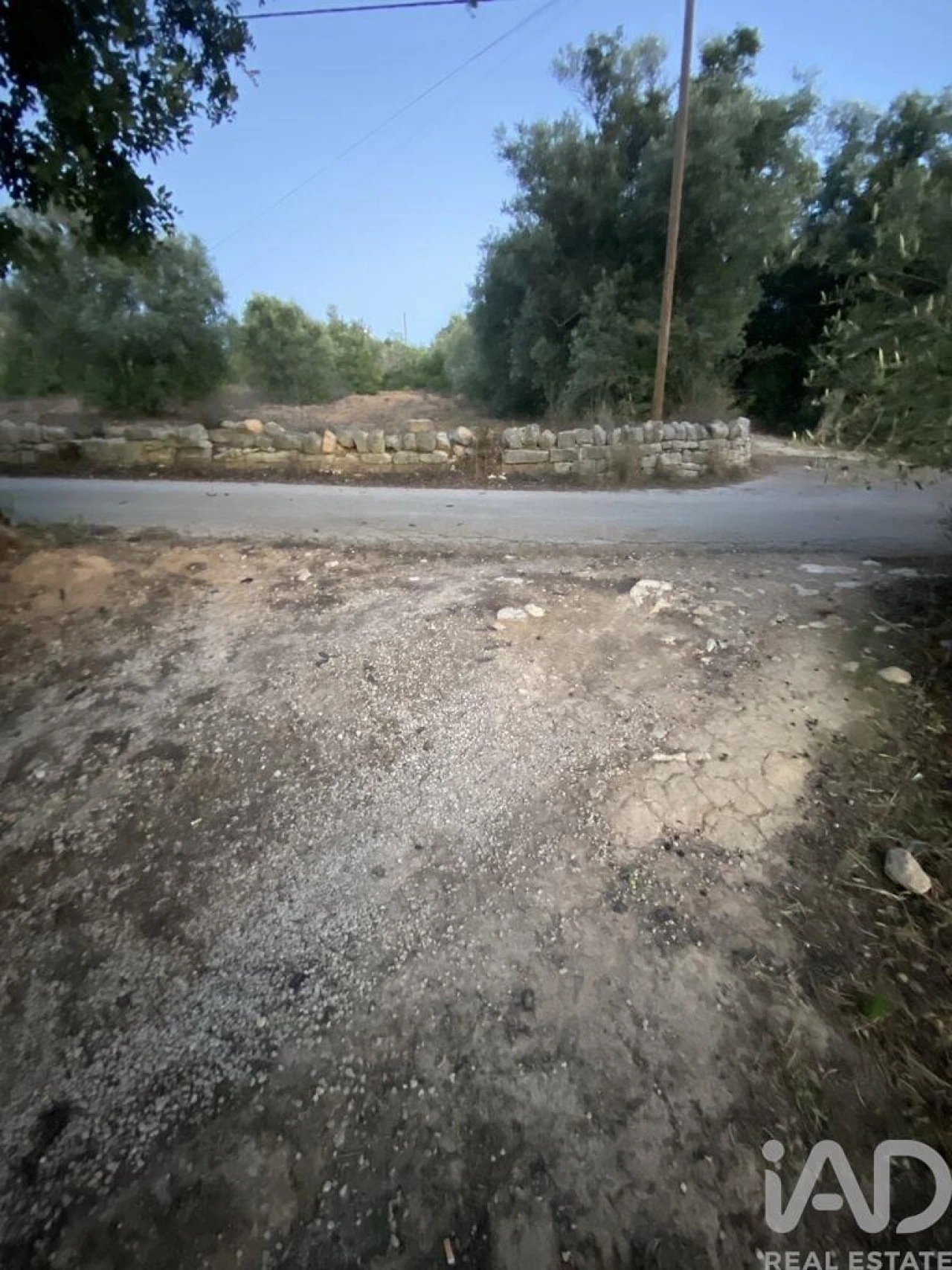 Terreno para Venda em Santa Barbara de Nexe Foto 5