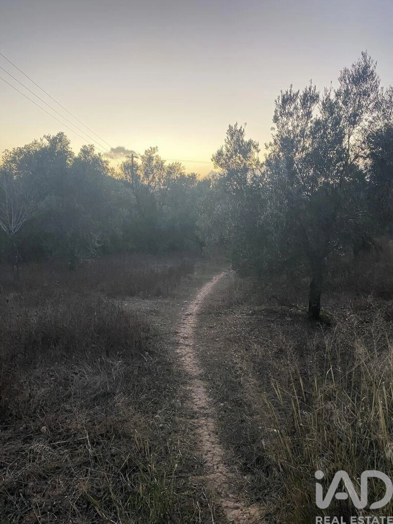 Terreno para Venda em Santa Barbara de Nexe Foto 1