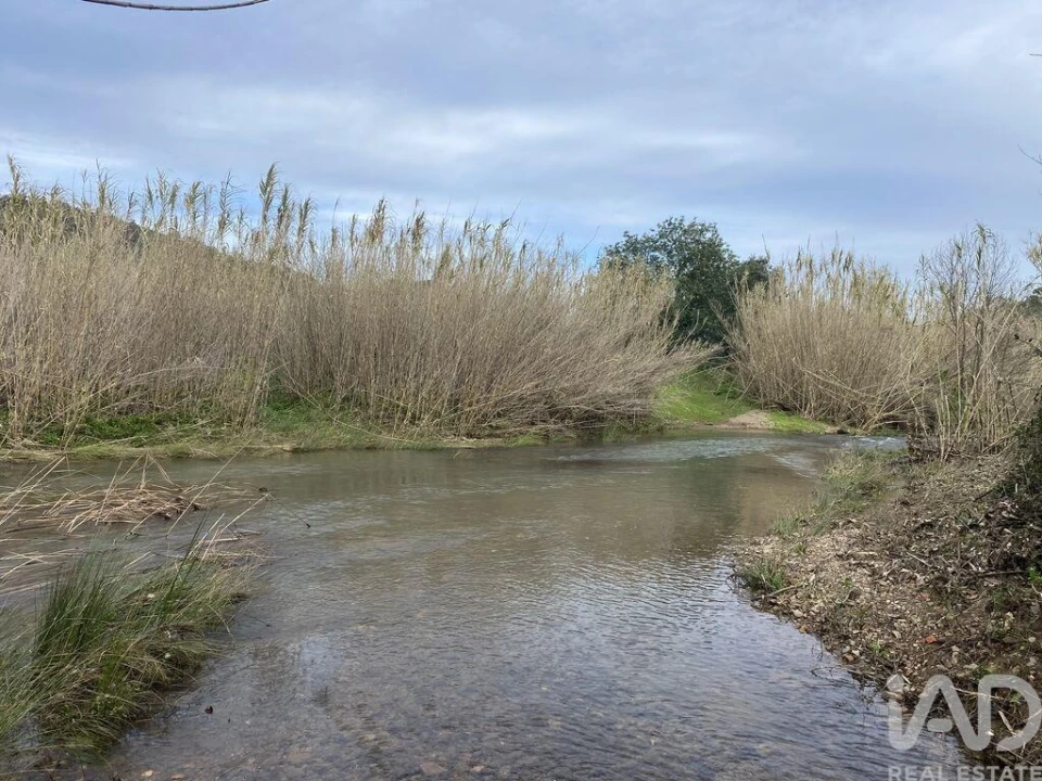 Terreno para Venda em São Brás de Alportel Foto 3