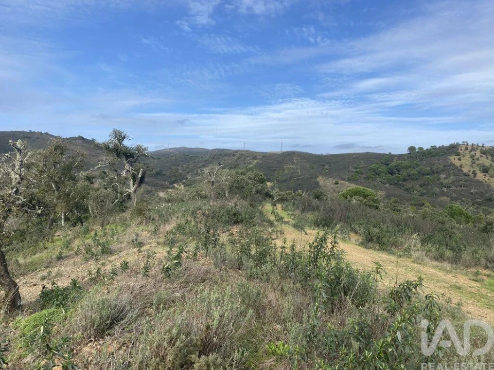 Terreno para Venda em São Brás de Alportel Foto 14