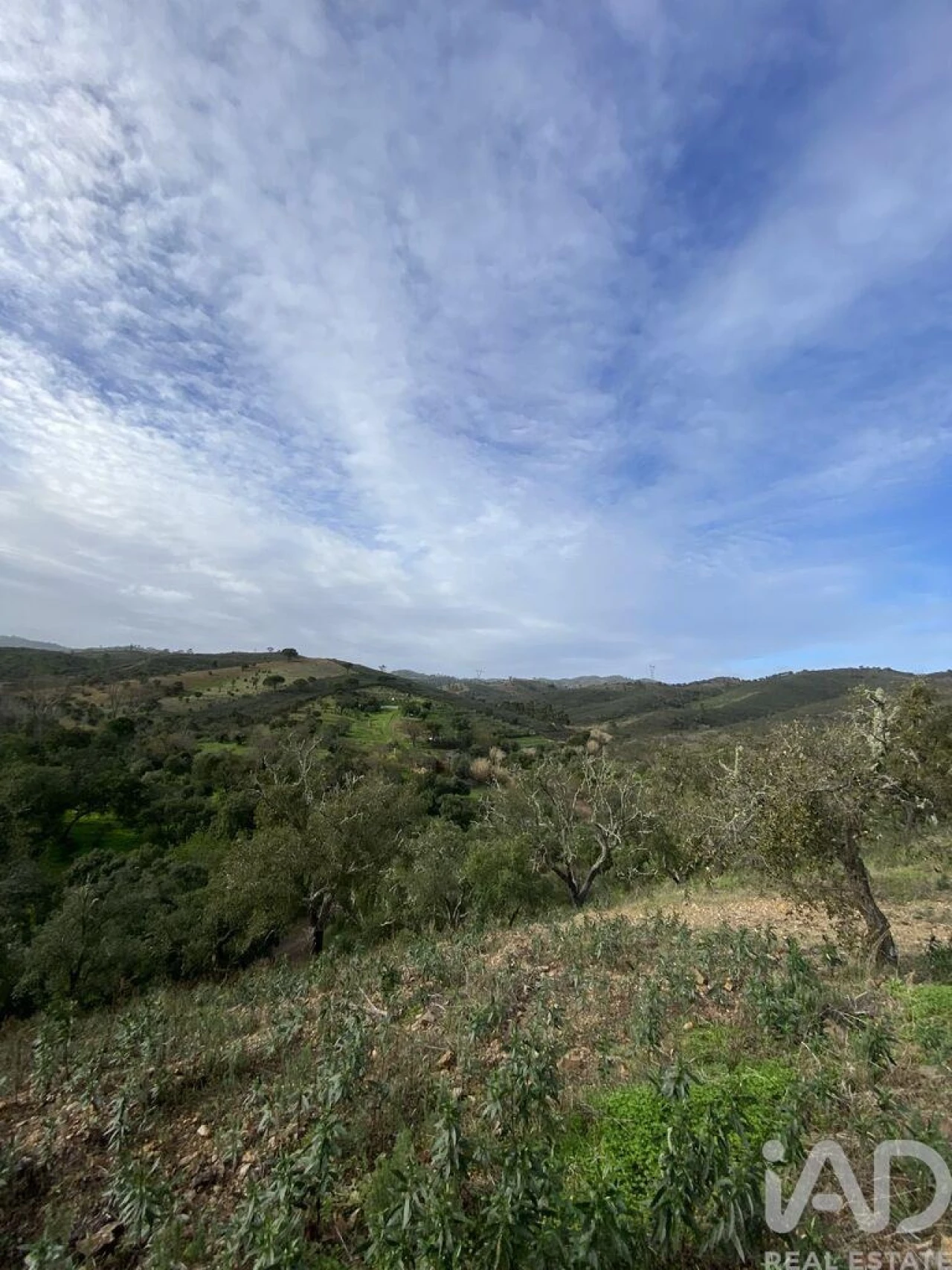 Terreno para Venda em São Brás de Alportel Foto 9