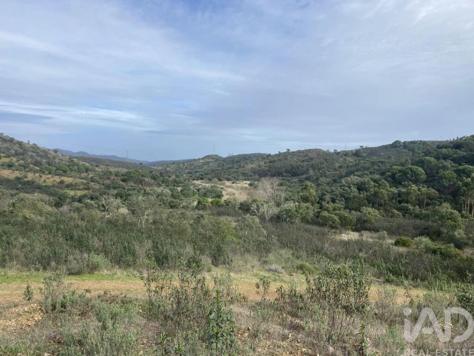 Terreno para Venda em São Brás de Alportel Foto 11