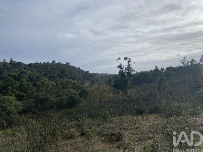 Terreno para Venda em São Brás de Alportel Foto 2