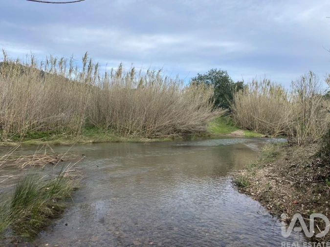 Terreno para Venda em São Brás de Alportel Foto 3