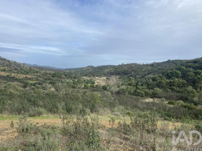 Terreno para Venda em São Brás de Alportel Foto 11