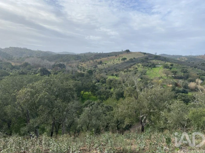 Terreno para Venda em São Brás de Alportel