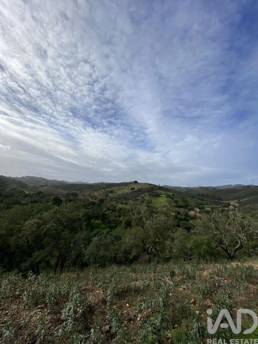 Terreno para Venda em São Brás de Alportel Foto 13