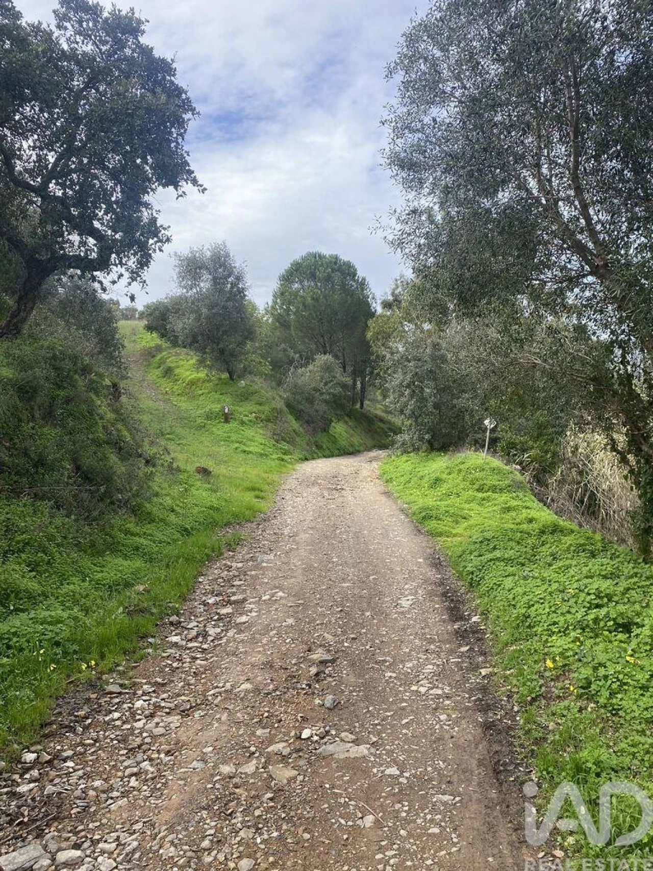Terreno para Venda em São Brás de Alportel Foto 7