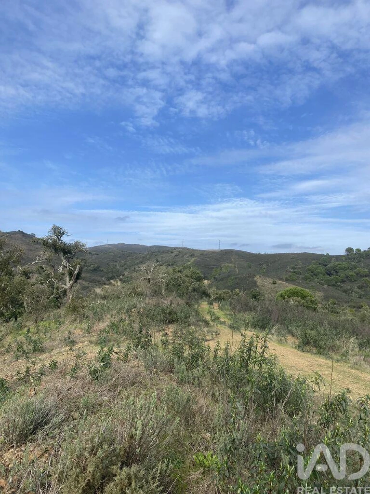 Terreno para Venda em São Brás de Alportel Foto 12