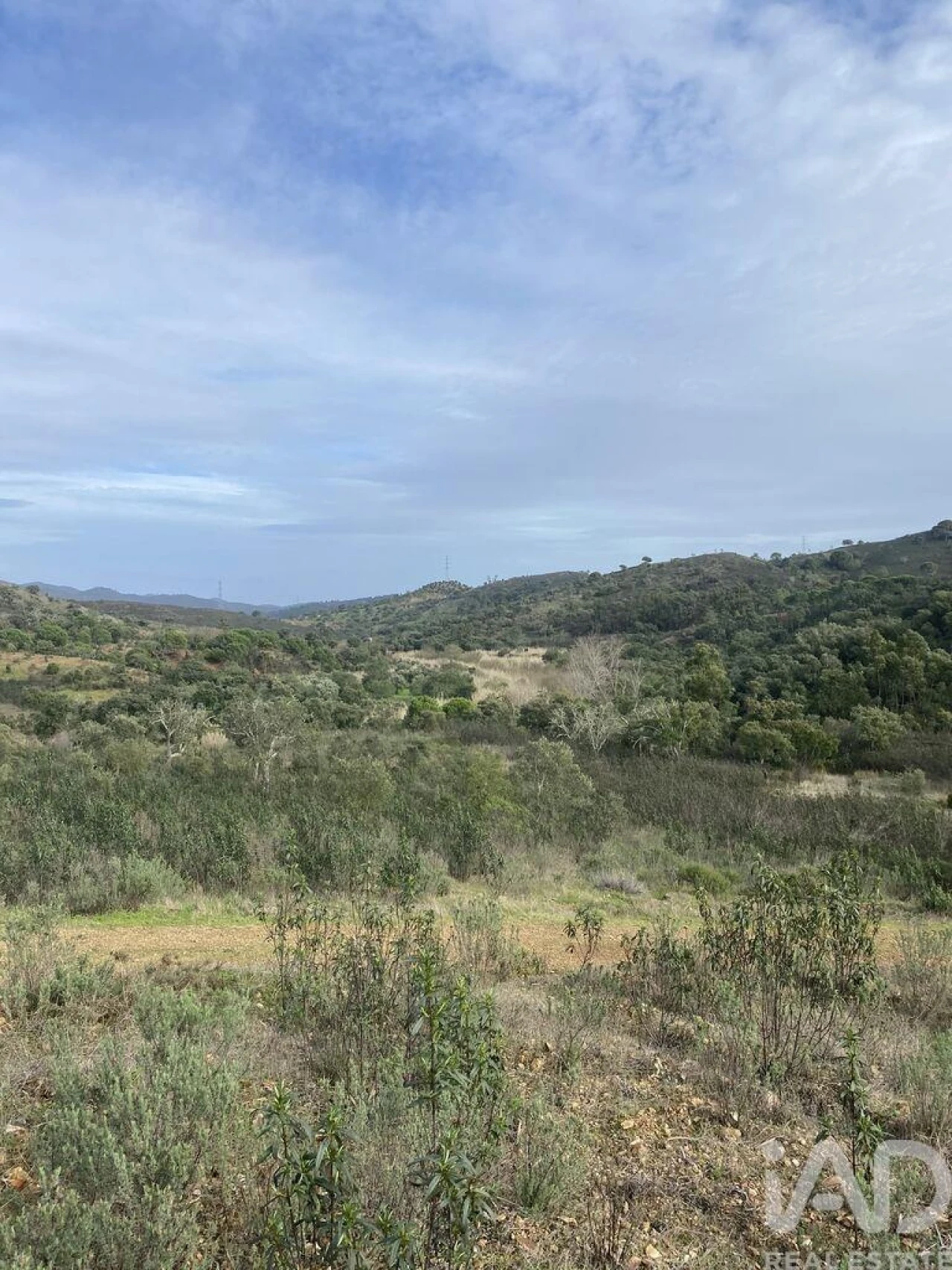 Terreno para Venda em São Brás de Alportel Foto 10