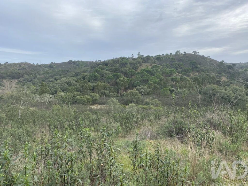 Terreno para Venda em São Brás de Alportel Foto 16