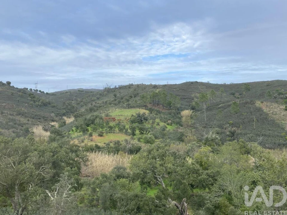 Terreno para Venda em São Brás de Alportel Foto 10
