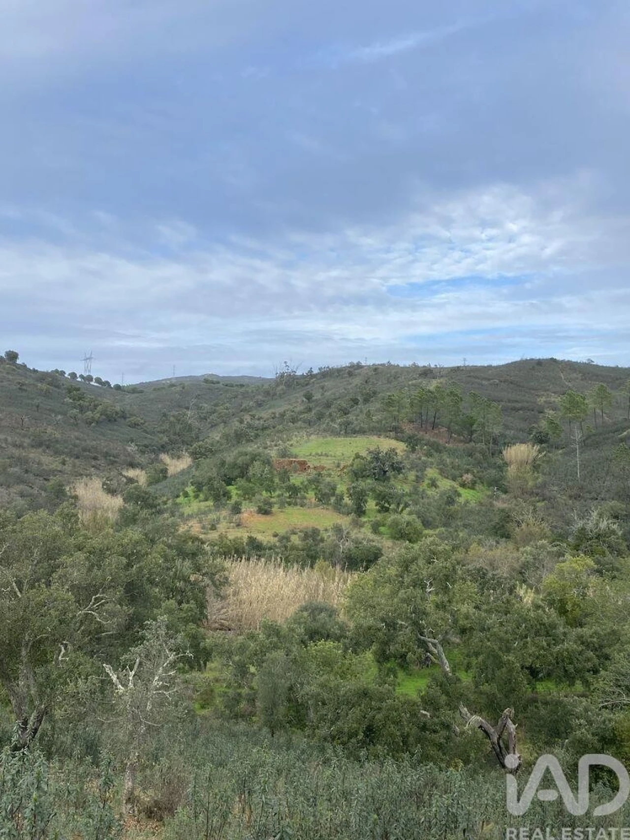 Terreno para Venda em São Brás de Alportel Foto 11
