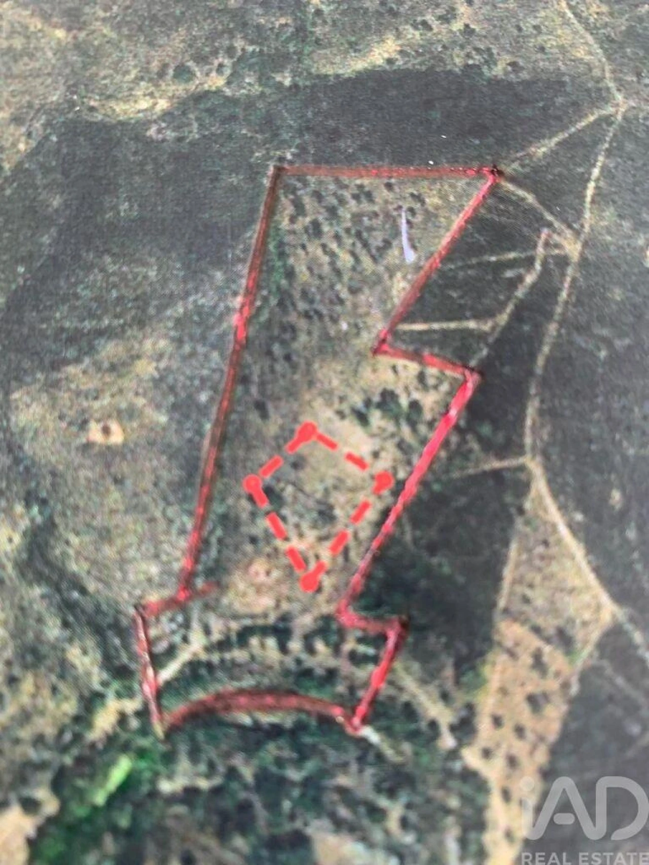 Terreno para Venda em São Brás de Alportel Foto 2