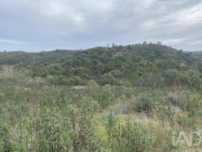 Terreno para Venda em São Brás de Alportel Foto 16