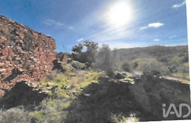 Terreno para Venda em São Brás de Alportel Foto 4