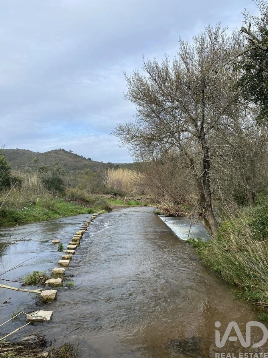 Terreno para Venda em São Brás de Alportel Foto 12