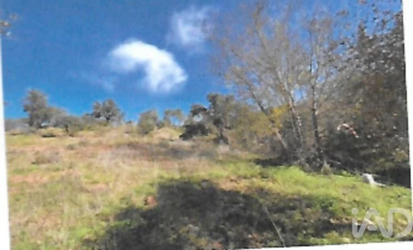 Terreno para Venda em São Brás de Alportel Foto 5