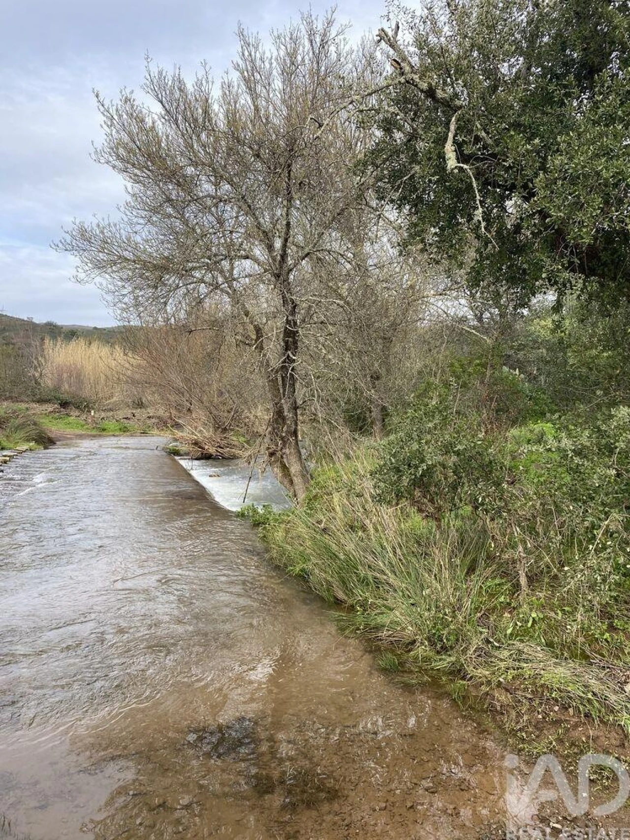 Terreno para Venda em São Brás de Alportel Foto 15