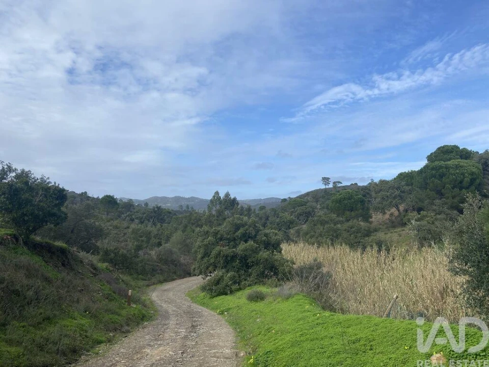 Terreno para Venda em São Brás de Alportel Foto 6