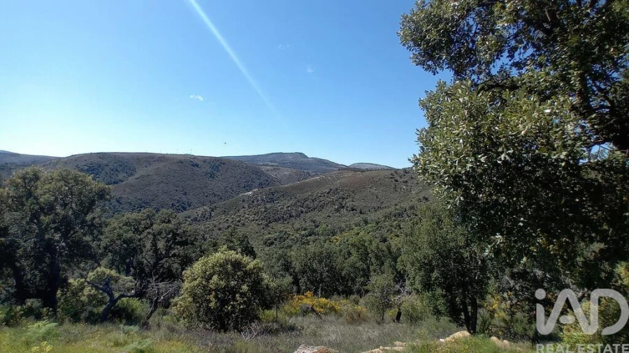 Terreno para Venda em Mos Foto 1
