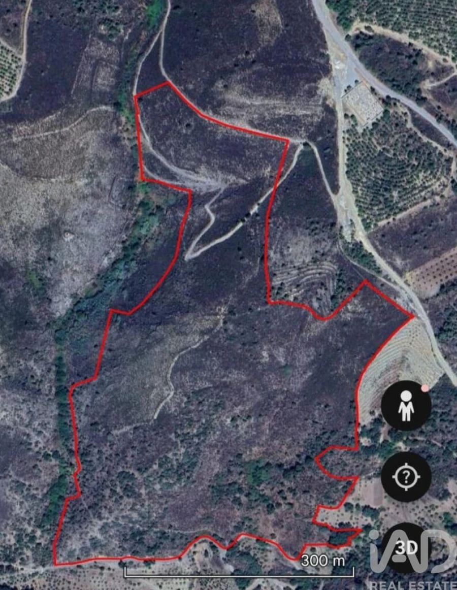 Terreno para Venda em Mos Foto 5