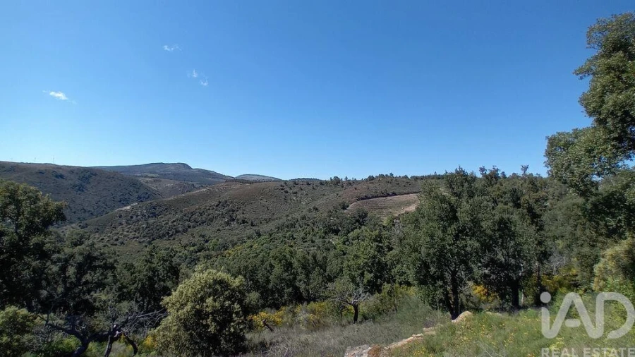 Terreno para Venda em Mos Foto 6