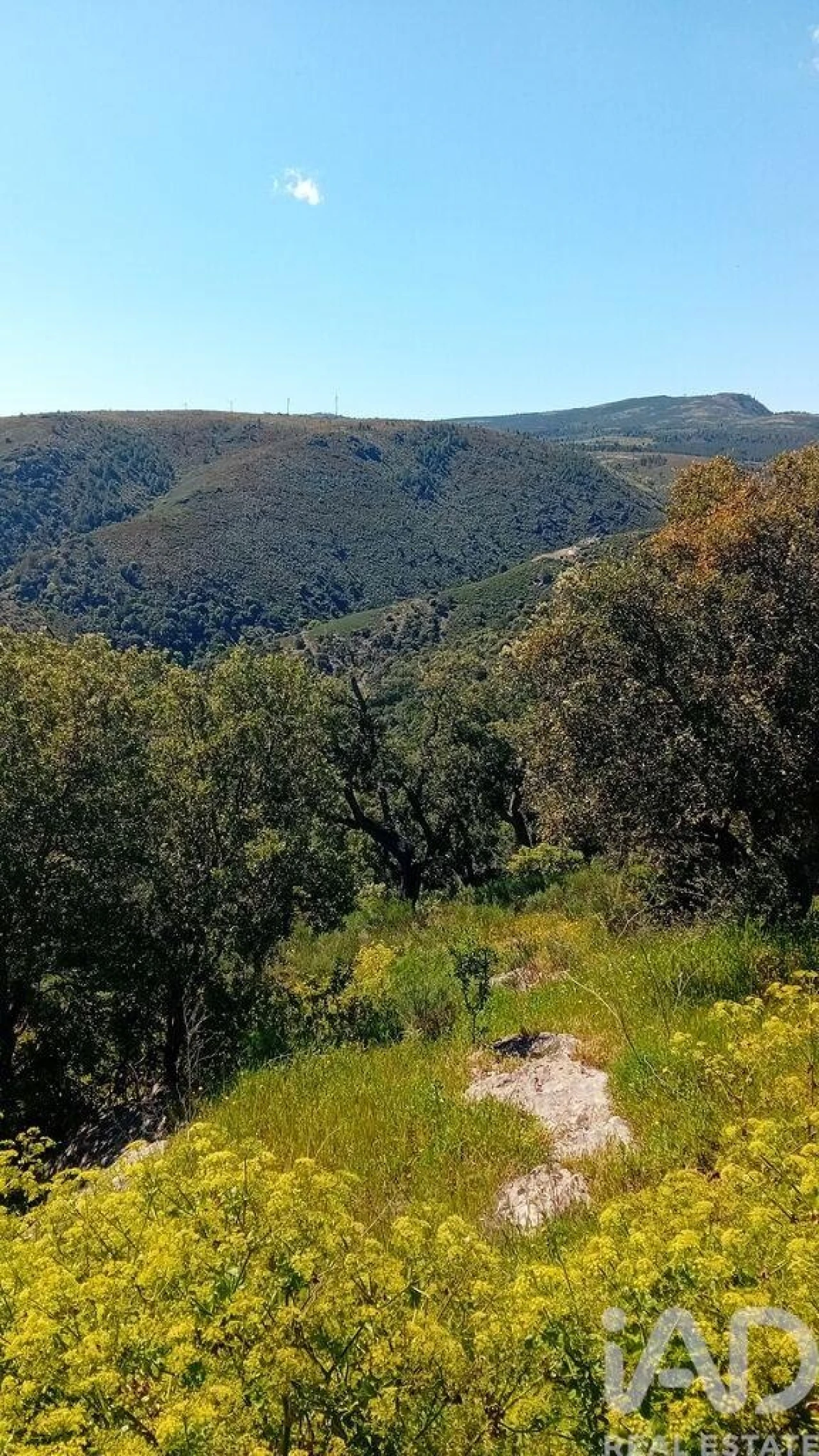 Terreno para Venda em Mos Foto 4