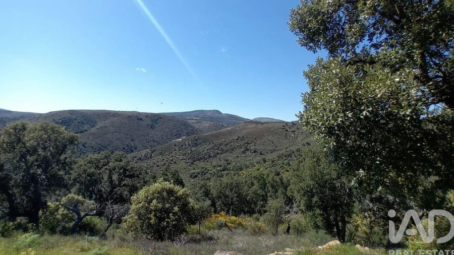 Terreno para Venda em Mos