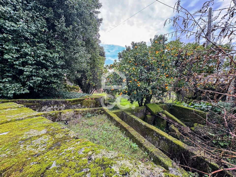 Moradia para Venda em Mamouros, Alva e Ribolhos Foto 52