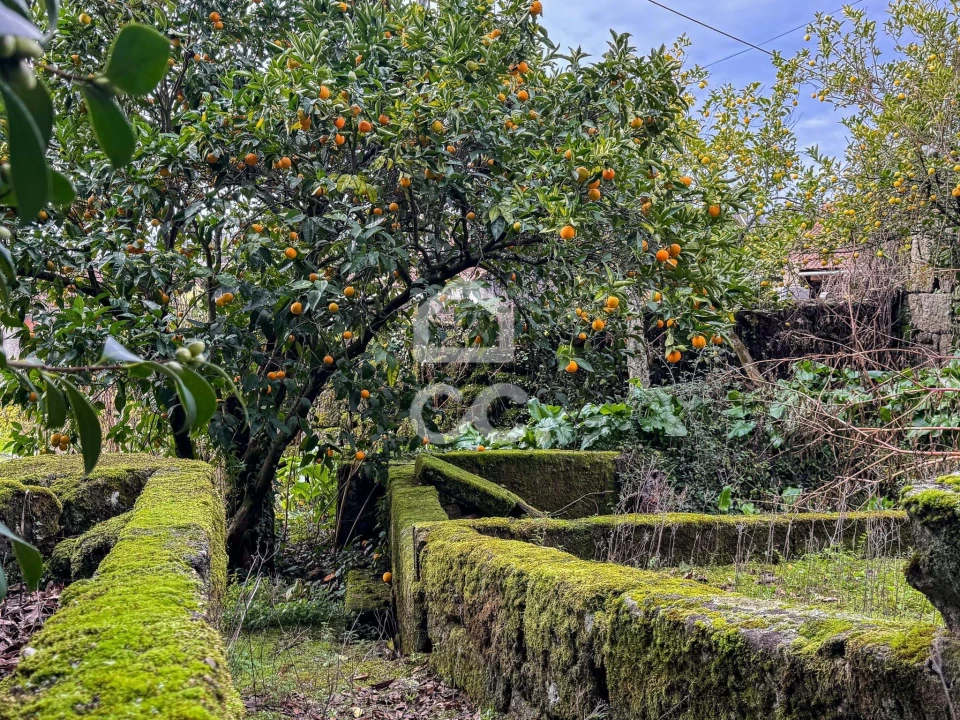 Moradia para Venda em Mamouros, Alva e Ribolhos Foto 21