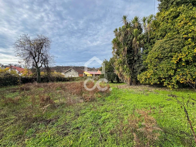 Moradia para Venda em Mamouros, Alva e Ribolhos Foto 24