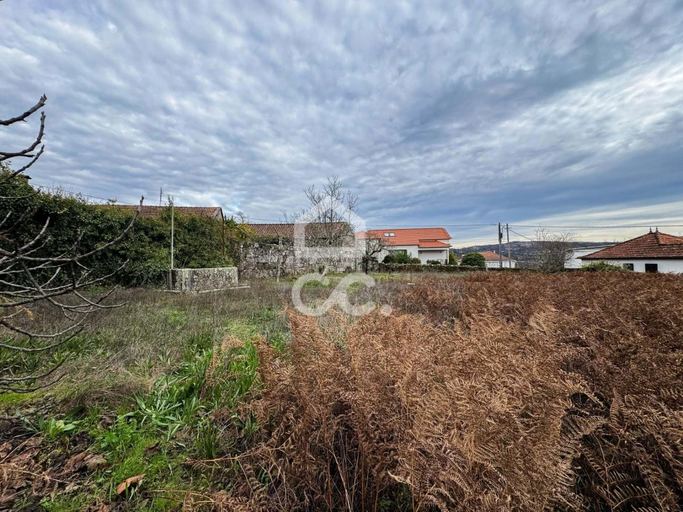 Moradia para Venda em Mamouros, Alva e Ribolhos Foto 59