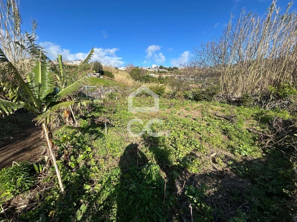 Terreno para Venda em Ponta Garça Foto 12