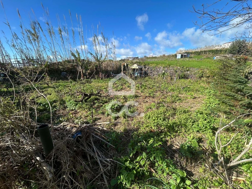 Terreno para Venda em Ponta Garça Foto 10