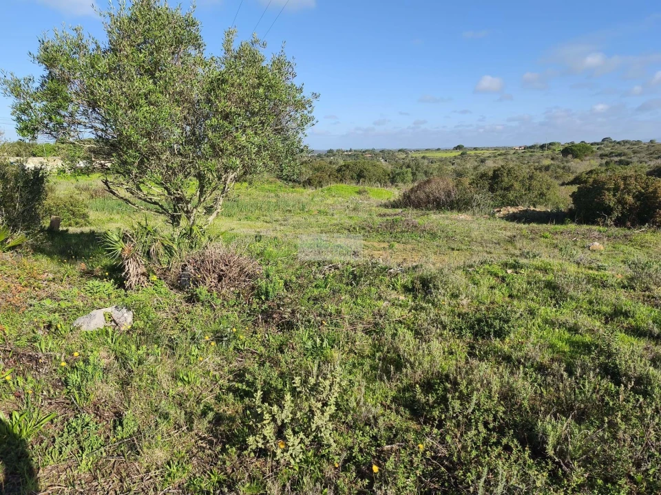 Terreno para Venda em Lagos (São Sebastião e Santa Maria) Foto 1