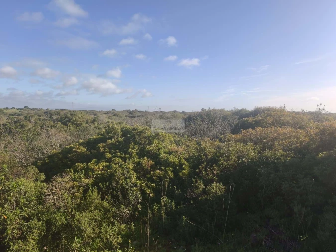 Terreno para Venda em Lagos (São Sebastião e Santa Maria) Foto 7