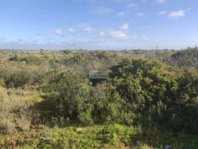 Terreno para Venda em Lagos (São Sebastião e Santa Maria) Foto 8