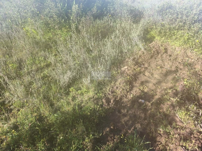 Terreno para Venda em Lagos (São Sebastião e Santa Maria) Foto 6