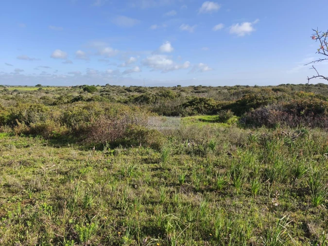 Terreno para Venda em Lagos (São Sebastião e Santa Maria) Foto 5