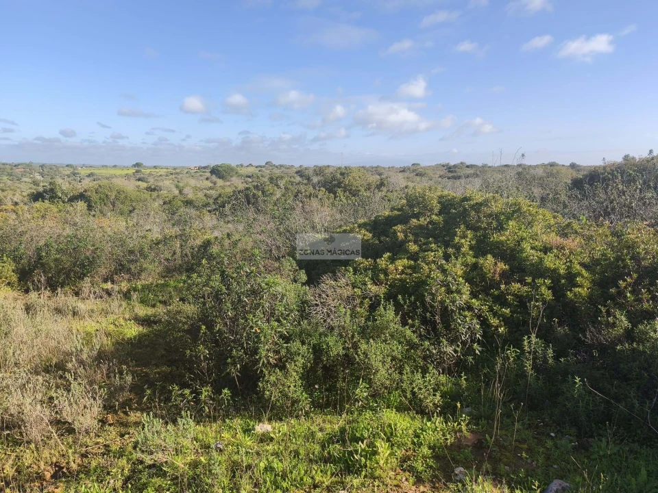 Terreno para Venda em Lagos (São Sebastião e Santa Maria) Foto 8