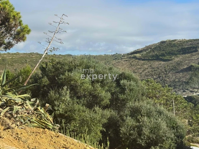 Apartamento T1 para Venda em Agualva e Mira-Sintra Foto 28