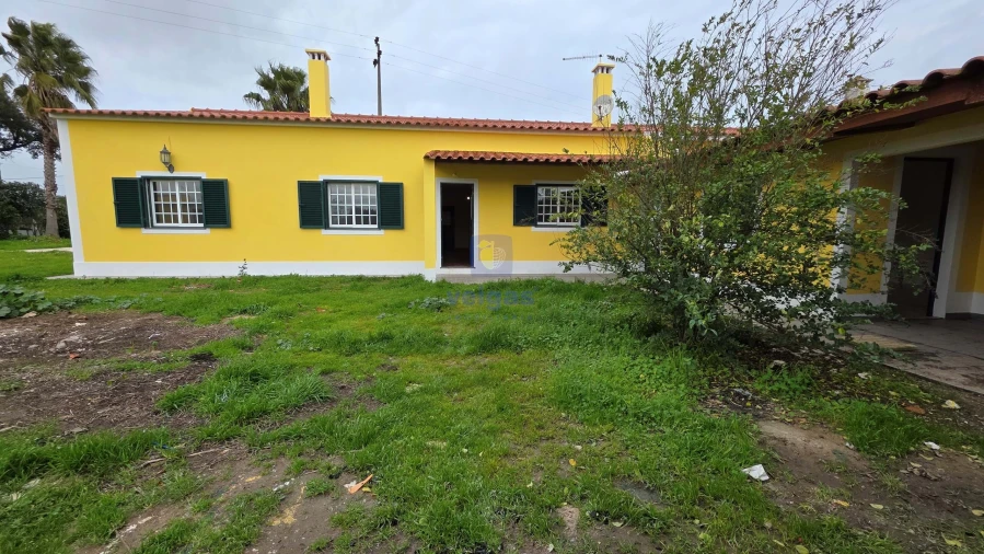 Moradia T3 para Venda em Salvaterra de Magos e Foros de Salvaterra Foto 11