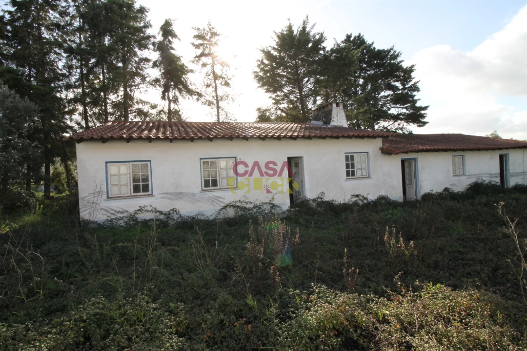 Moradia T3 para Venda em Olaia e Paço Foto 10